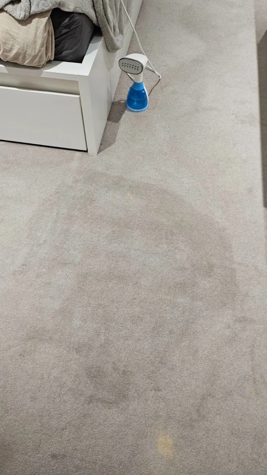 Pet Stain & Odor Removal - after professional cleaning