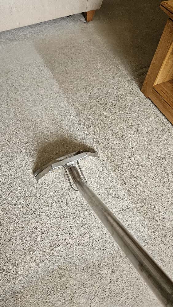 Professional Carpet Cleaning Service in Harrow service demonstration - professional cleaning process and results