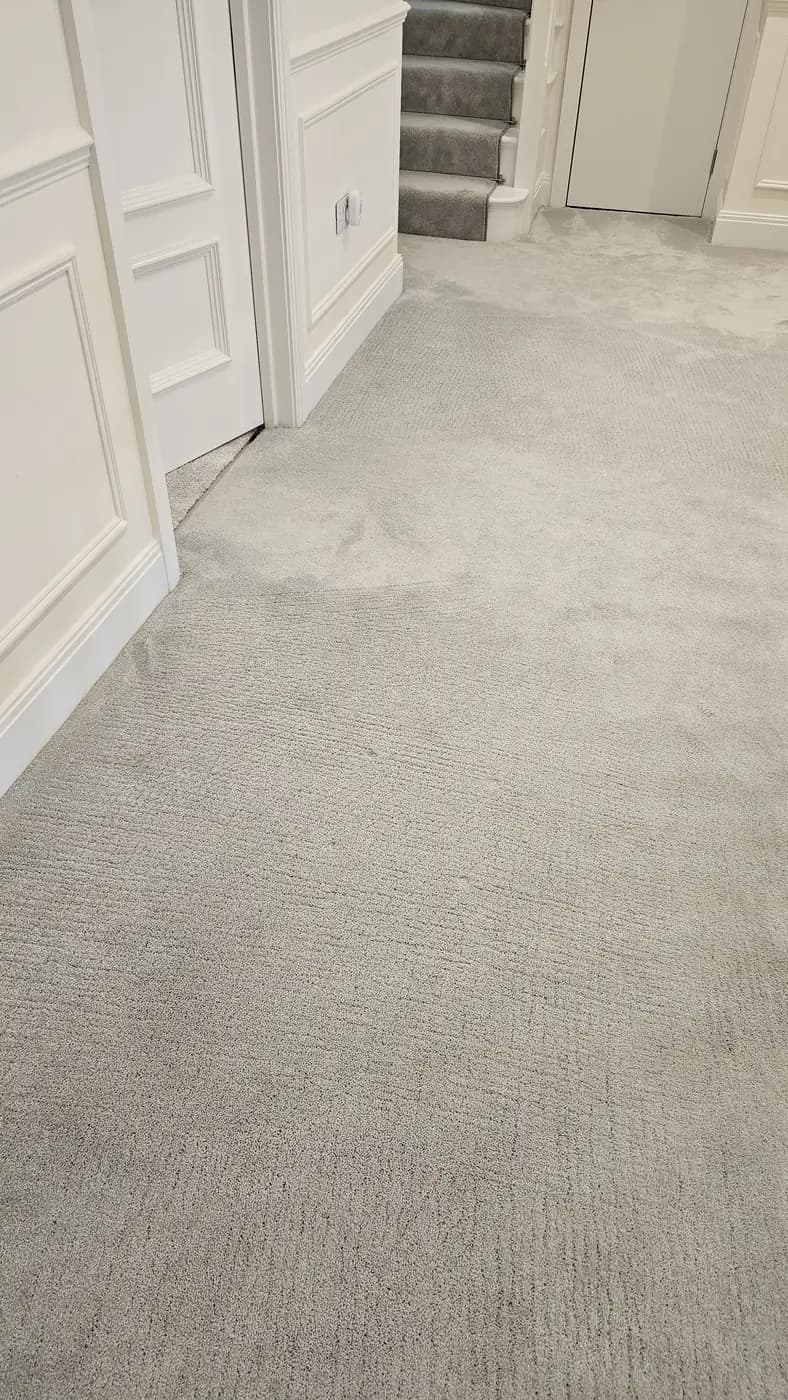 Light grey hallway carpet after stain removal