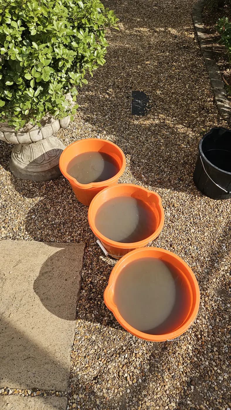 Buckets of dirty water extracted from carpets during a clean