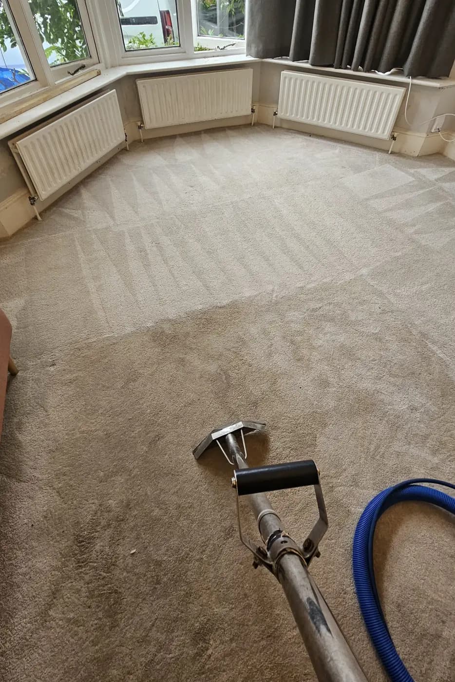 Living room carpet by a bay window part-way through cleaning