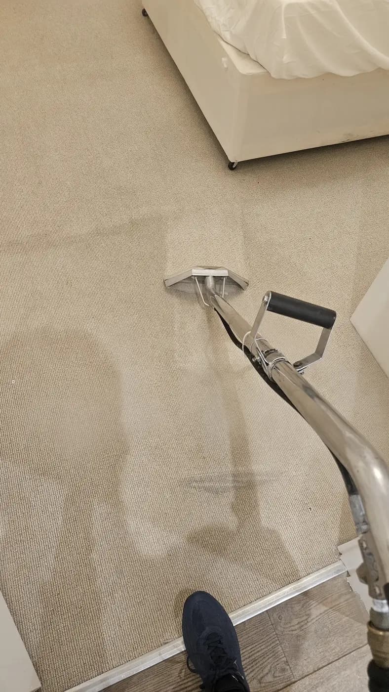 Cream bedroom carpet part-way through cleaning