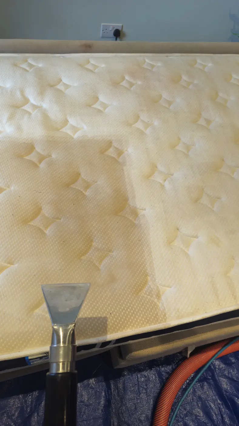Mattress part-way through cleaning, showing the cleaned strip