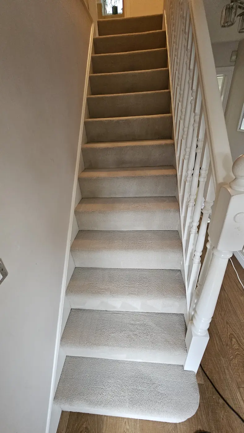 Light stair carpet after cleaning