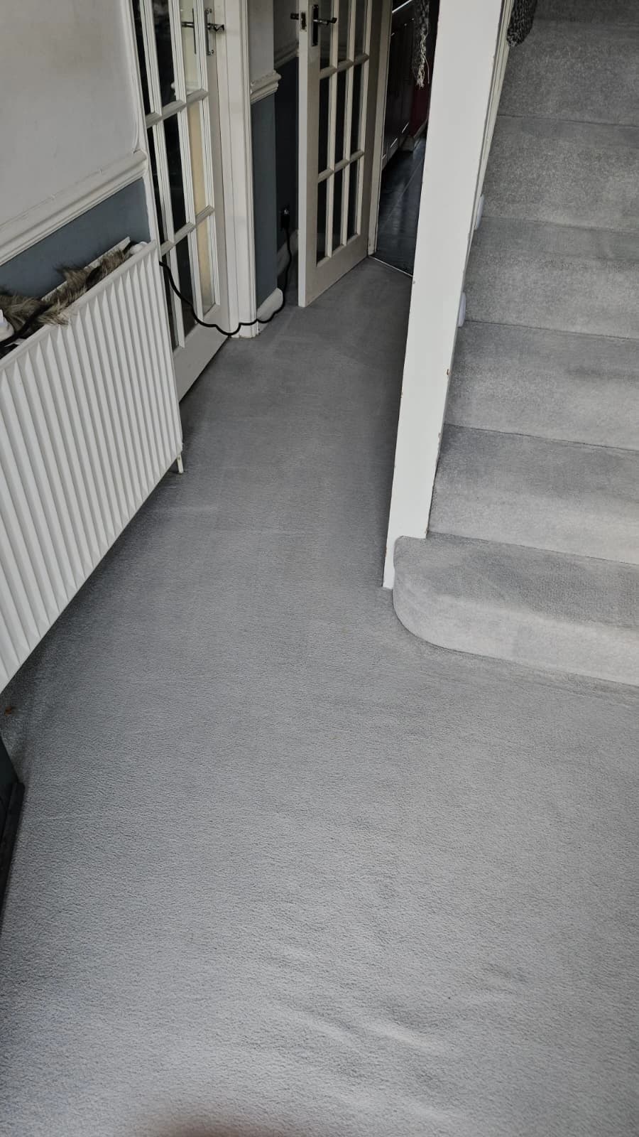 Leather Cleaning service - professional cleaning demonstration