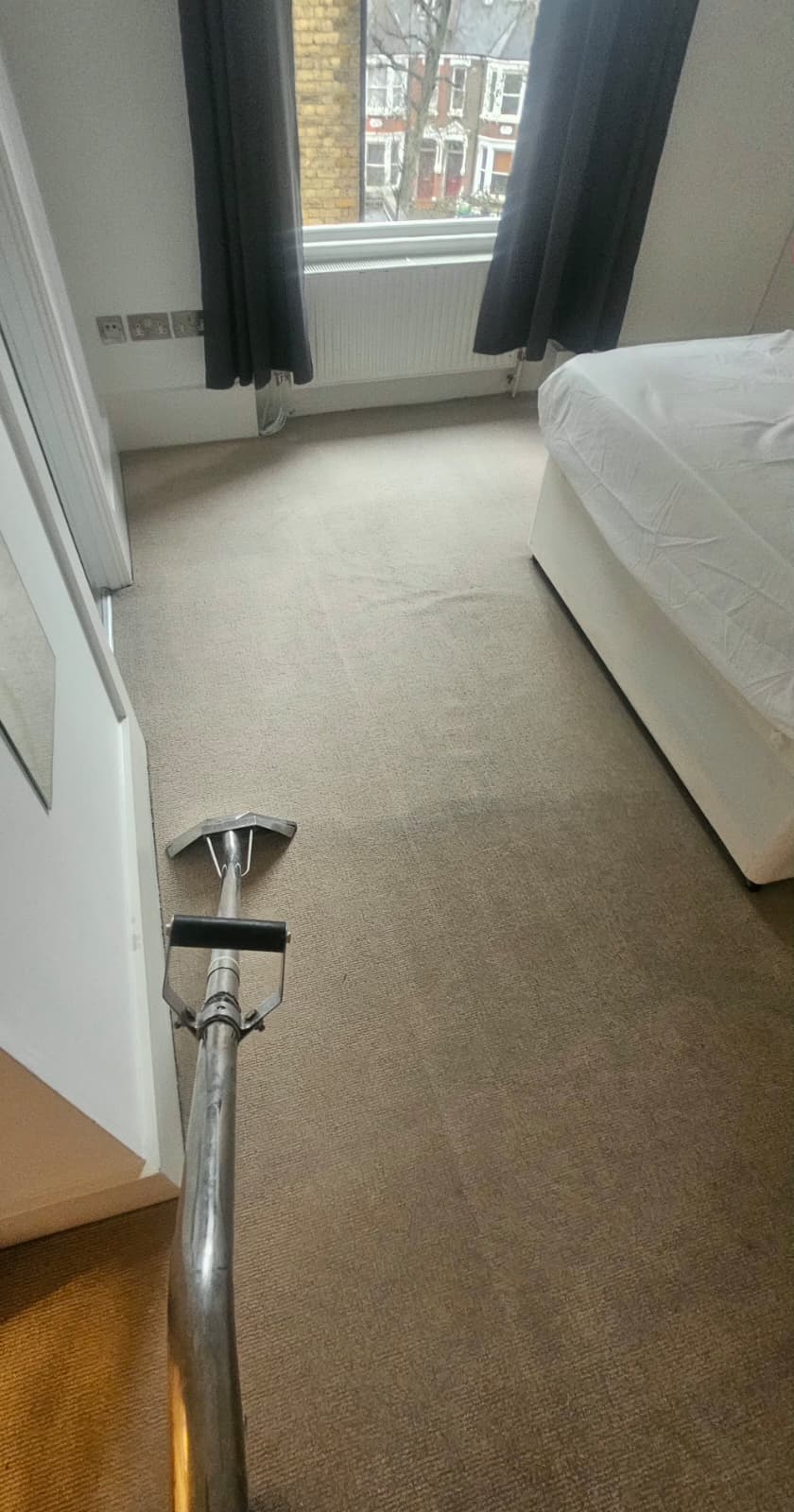 Professional Rug Cleaning Service in North West London